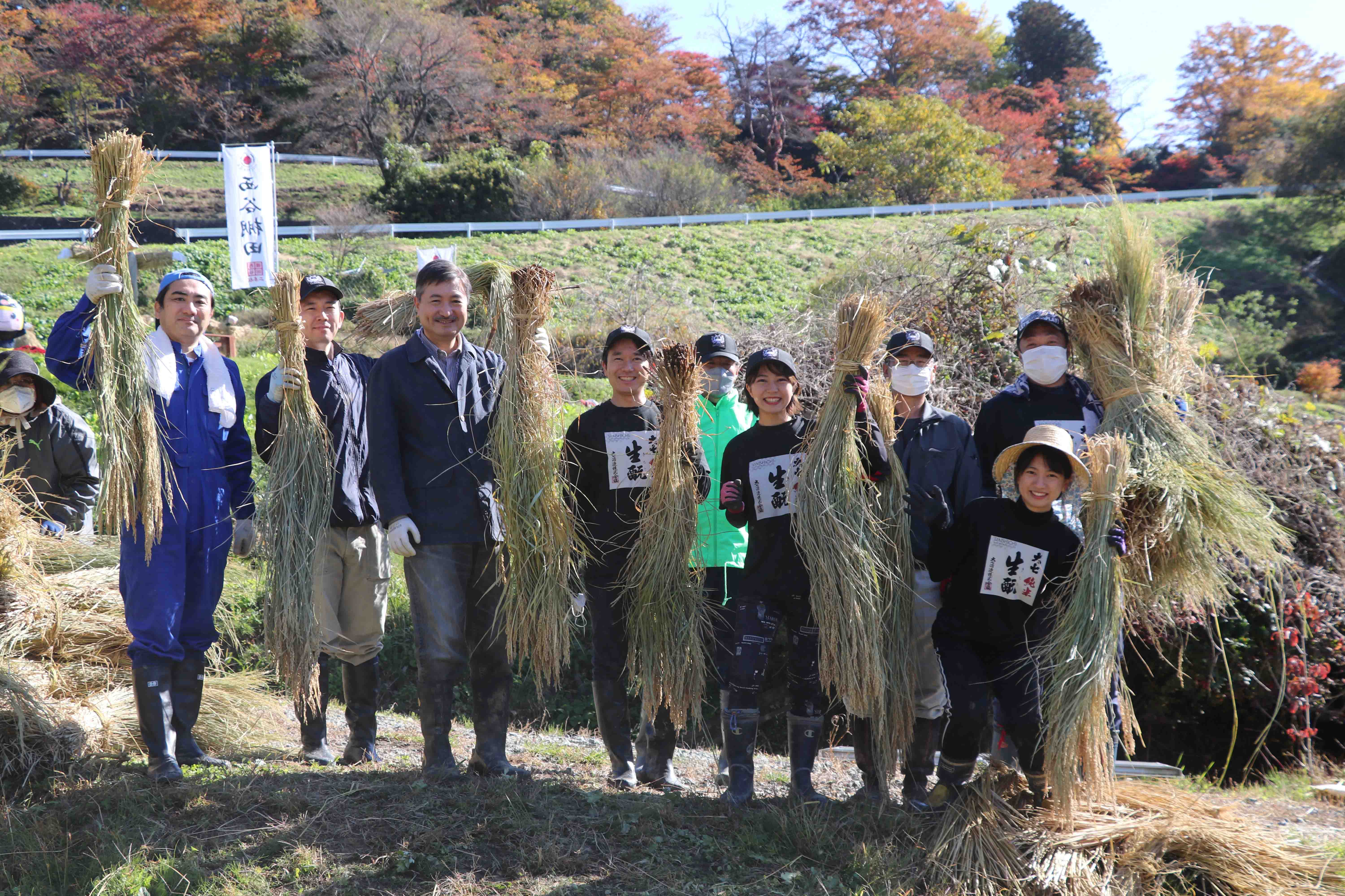 大七 西谷棚田 生酒