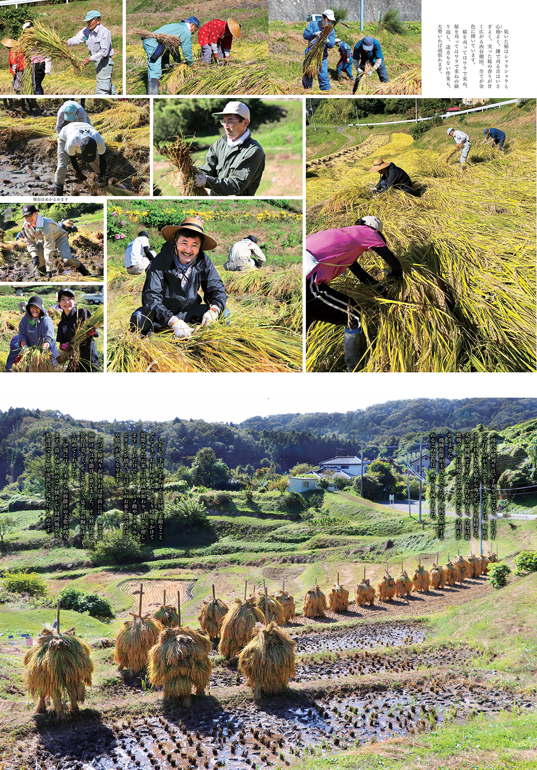 書籍『西谷棚田を守る人々 ―その出会いから、私は農業の偉大さを知りました―』