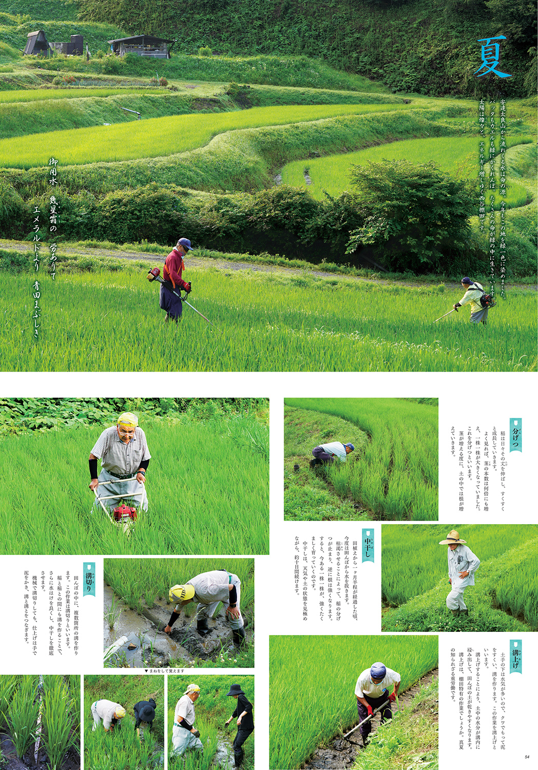 書籍『西谷棚田を守る人々 ―その出会いから、私は農業の偉大さを知りました―』